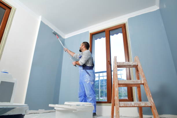 Trusted Woodworth, OH Mold Removal Experts