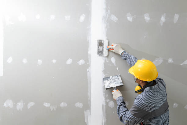 Best Environmental Consulting for Mold Prevention  in Woodworth, OH